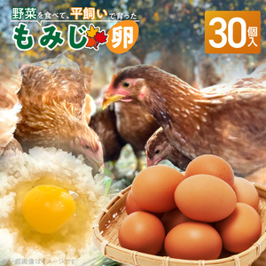 【医師監修】野菜を食べて育った平飼いの卵「もみじ卵」（30個入り）[154T02]
