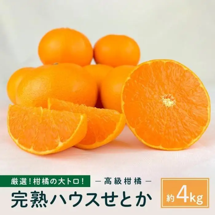柑橘の大トロ！完熟ハウスせとか  4kg2027年2月中旬～発送予定