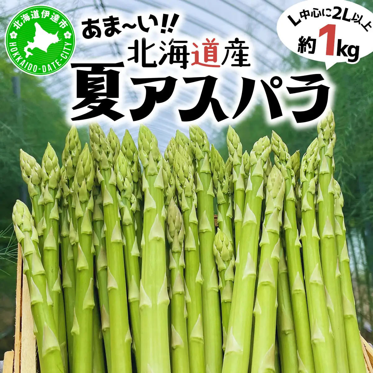 ＜先行予約＞あまーい！北海道産夏アスパラ(A品) 1kg【ffk-003】