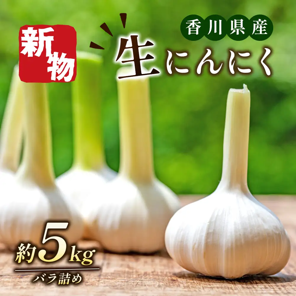 にんにく 生 香味野菜 五色青果 にんにく【5kg バラ詰め】 【46311894】