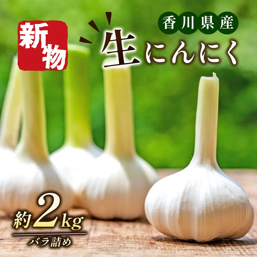 にんにく 生 香味野菜 五色青果 にんにく【2kg バラ詰め】 【46311893】