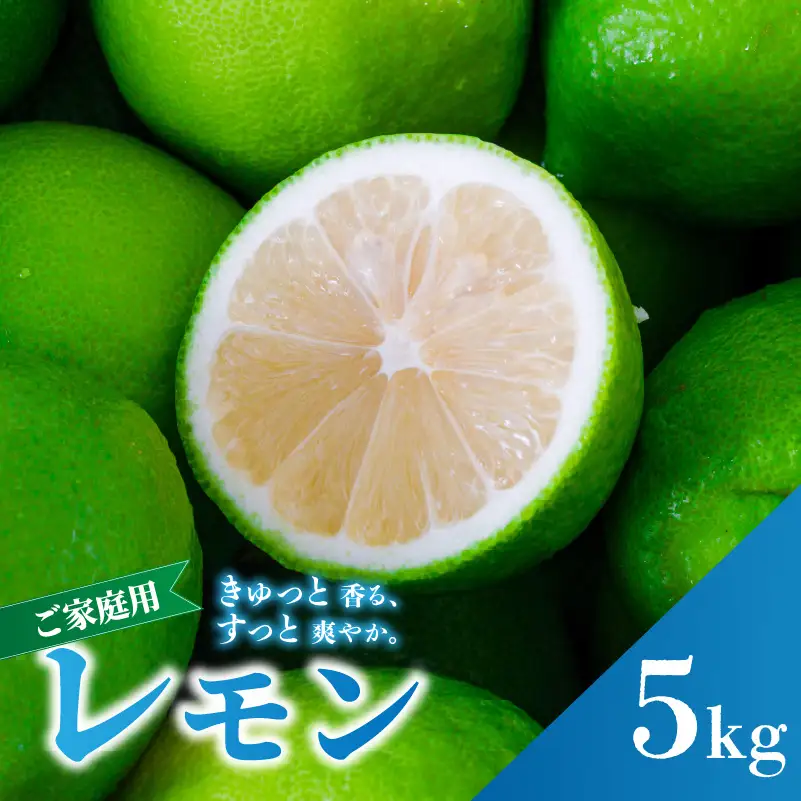 【レモン】 防腐剤ワックス不使用 【2026年9月下旬頃から順次発送】 家庭用 グリーンレモン 約5kg 防腐剤 ワックス 不使用｜ 訳あり レモン 檸檬 完熟 柑橘 酸味 国産 愛媛県産 訳あり 新鮮 愛媛 松山【RNK0211_g】