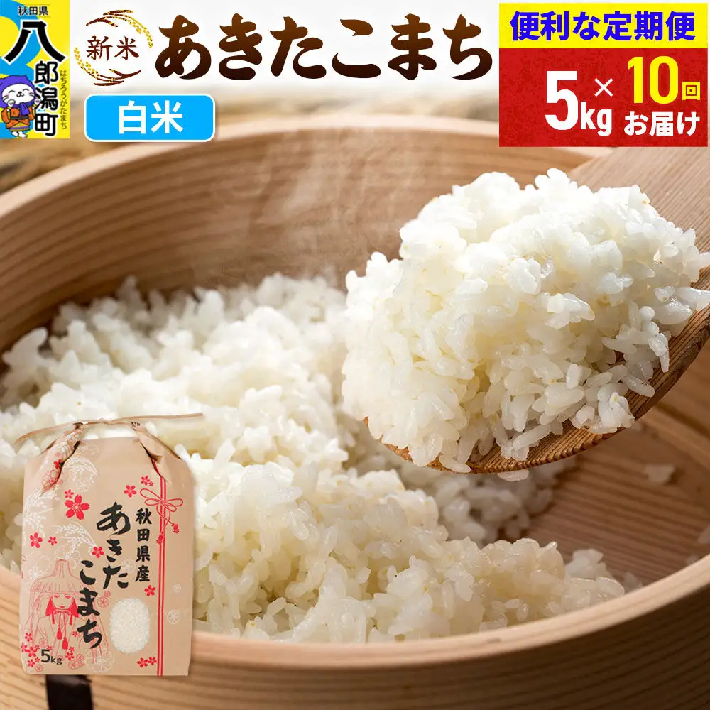 《新米》《定期便10ヶ月》あきたこまち 5kg【白米】 令和8年産 秋田県産 こまちライン