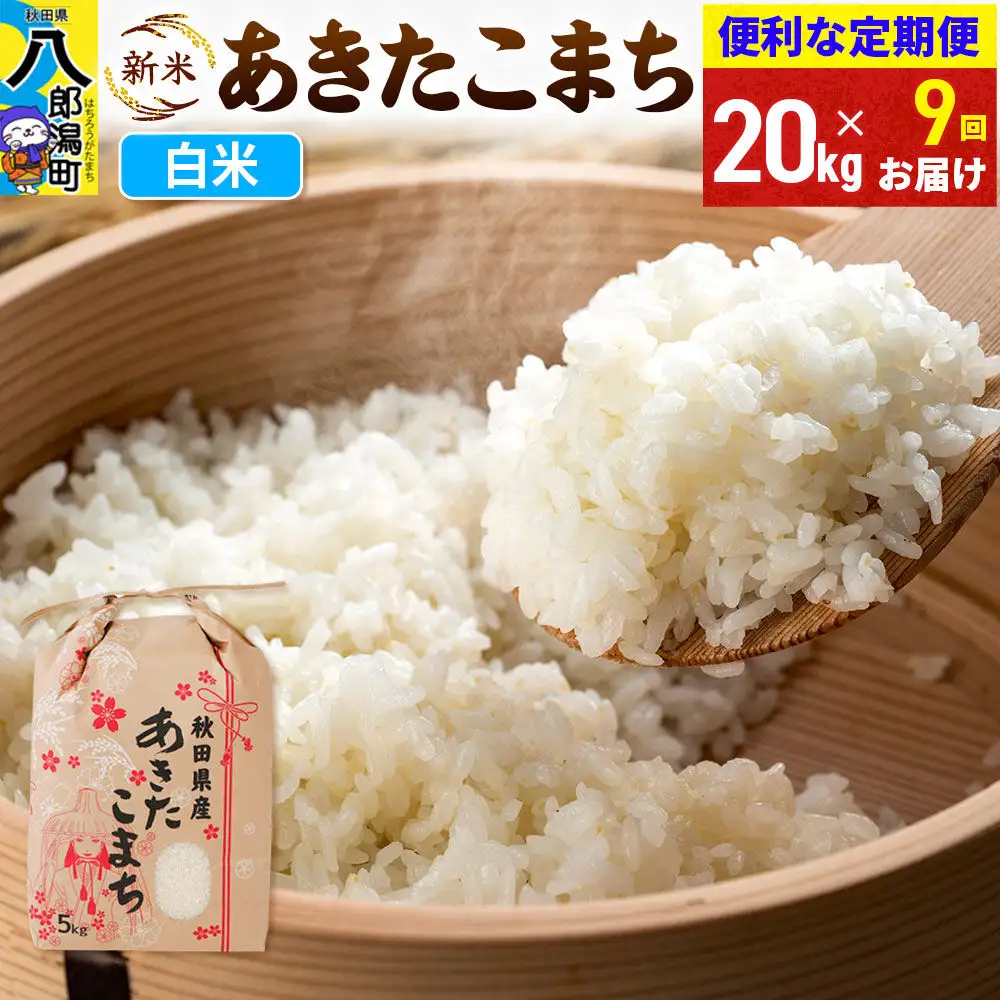《新米》《定期便9ヶ月》あきたこまち 20kg【白米】 令和8年産 秋田県産 こまちライン