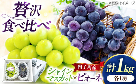 【先行予約】シャインマスカット・ピオーネのセット 約1kg BKAY012 ぶどう