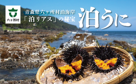 青森県六ヶ所村産　泊うに（甘塩うに）　60g