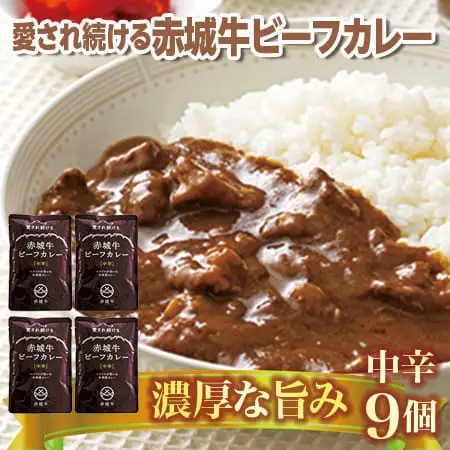 【愛され続ける】赤城牛ビーフカレー 中辛（9個）  カレー レトルト