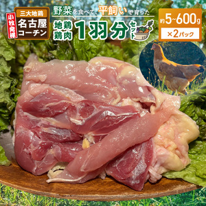 『スマイルファーム桃花台』名古屋コーチン肉 １羽分セット [154T04]