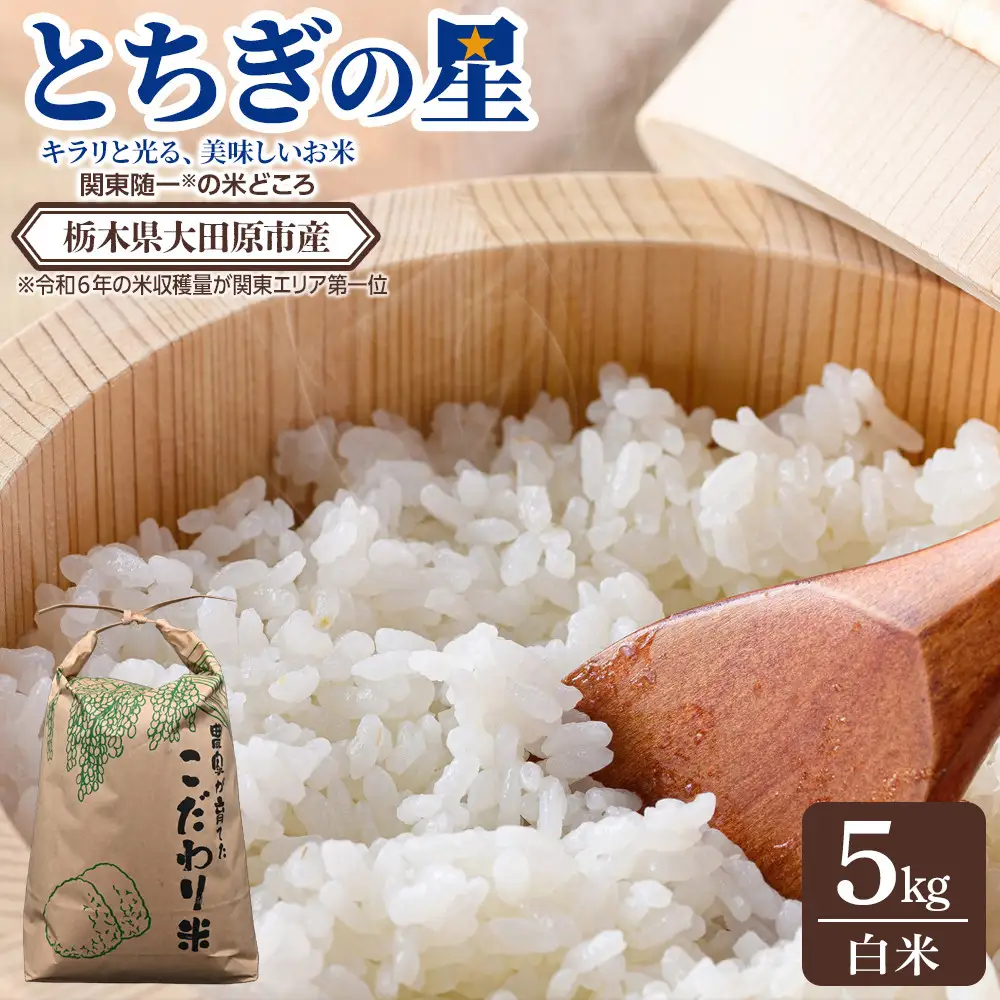 【令和7年産 】栃木県 大田原市産 とちぎの星 白米 5kg ｜コメ お米 銘柄米 農家直送 産地直送 産直 数量限定