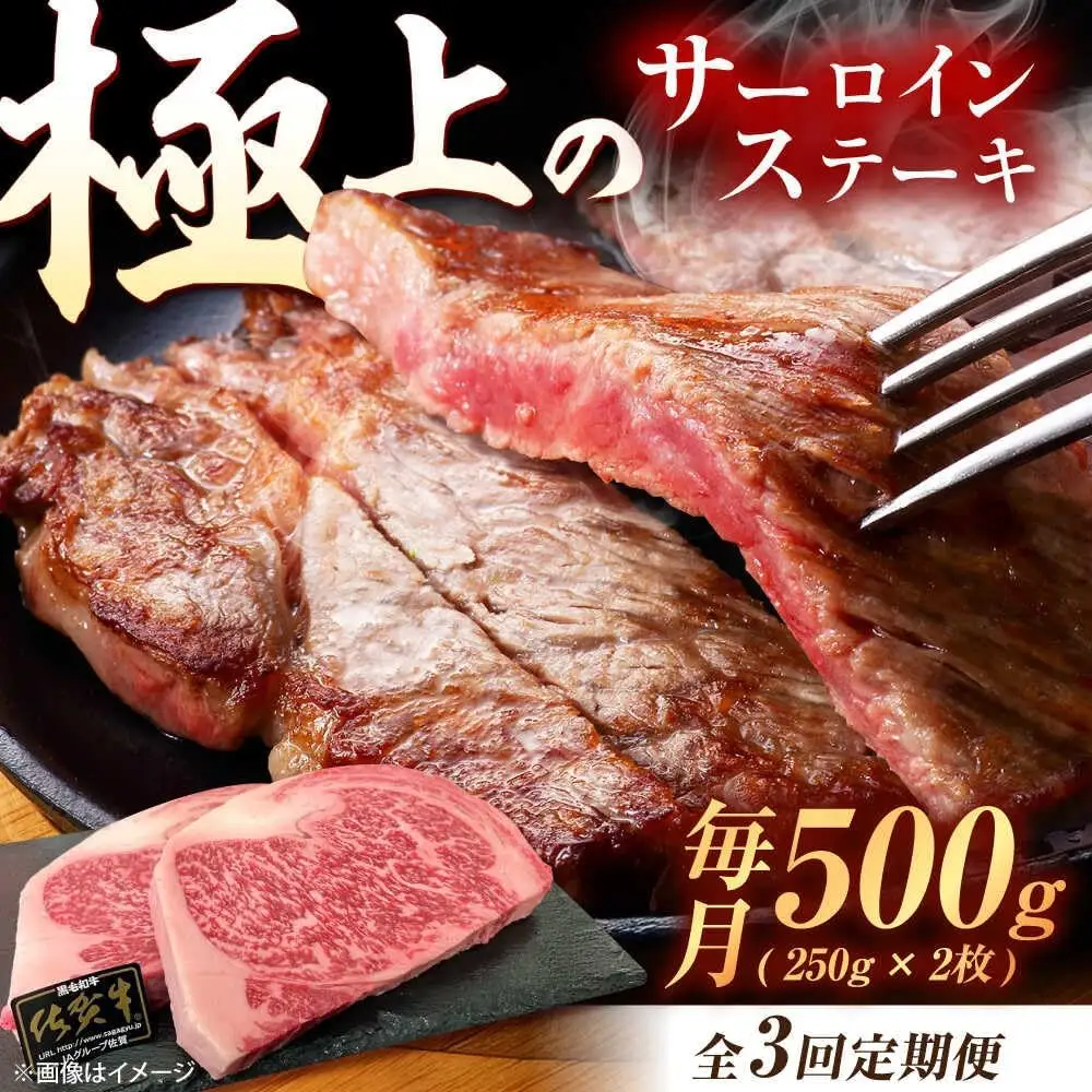【3回定期便】佐賀牛 サーロインステーキ 500g /MKミート武雄[UEM021] サーロインステーキ