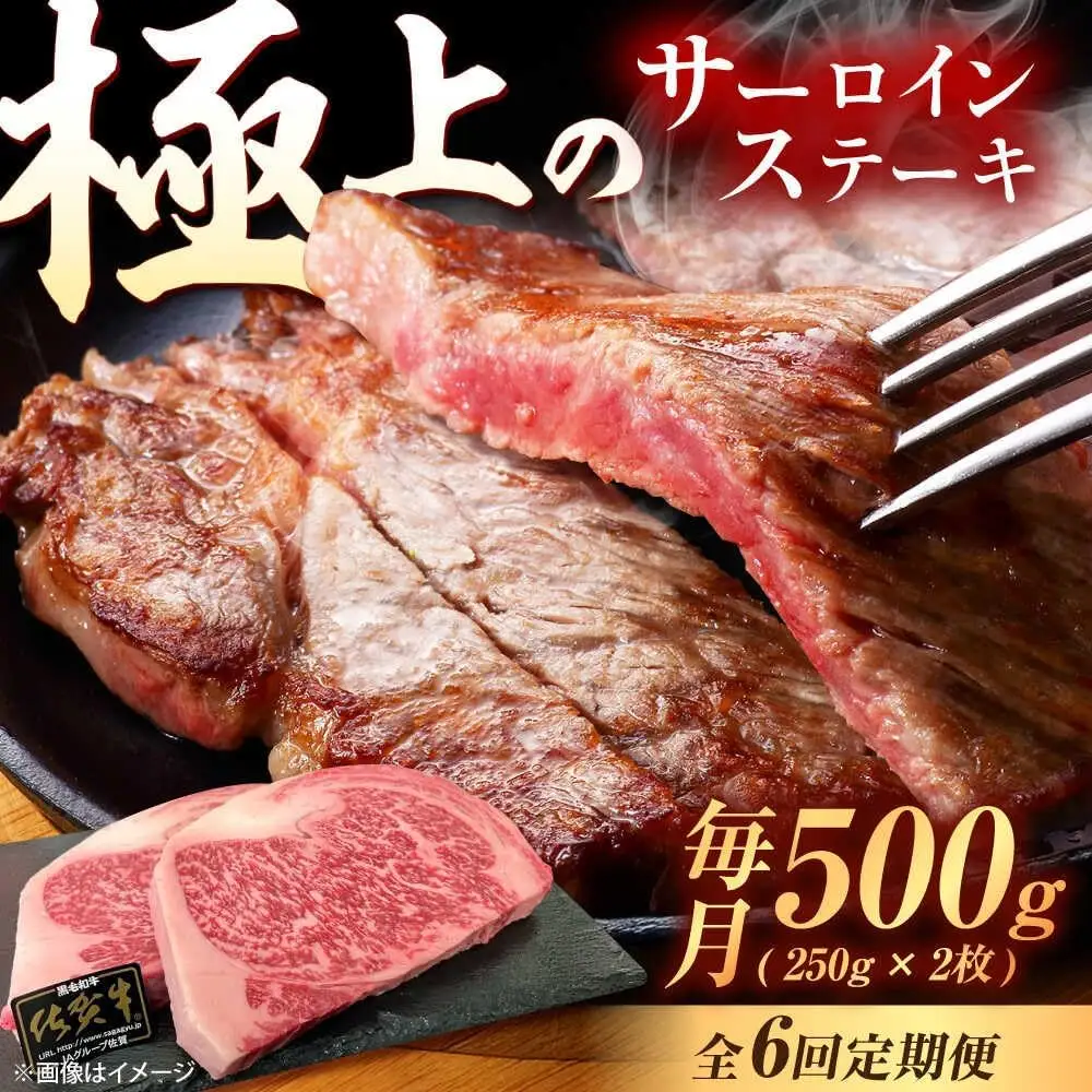 【6回定期便】佐賀牛 サーロインステーキ 500g /MKミート武雄[UEM022] ステーキ