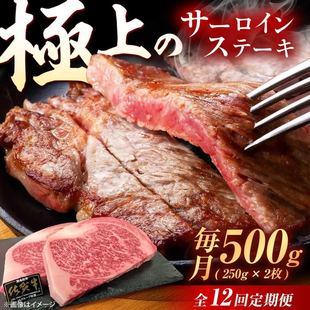 【12回定期便】佐賀牛 サーロインステーキ 500g /MKミート武雄[UEM023] サーロイン