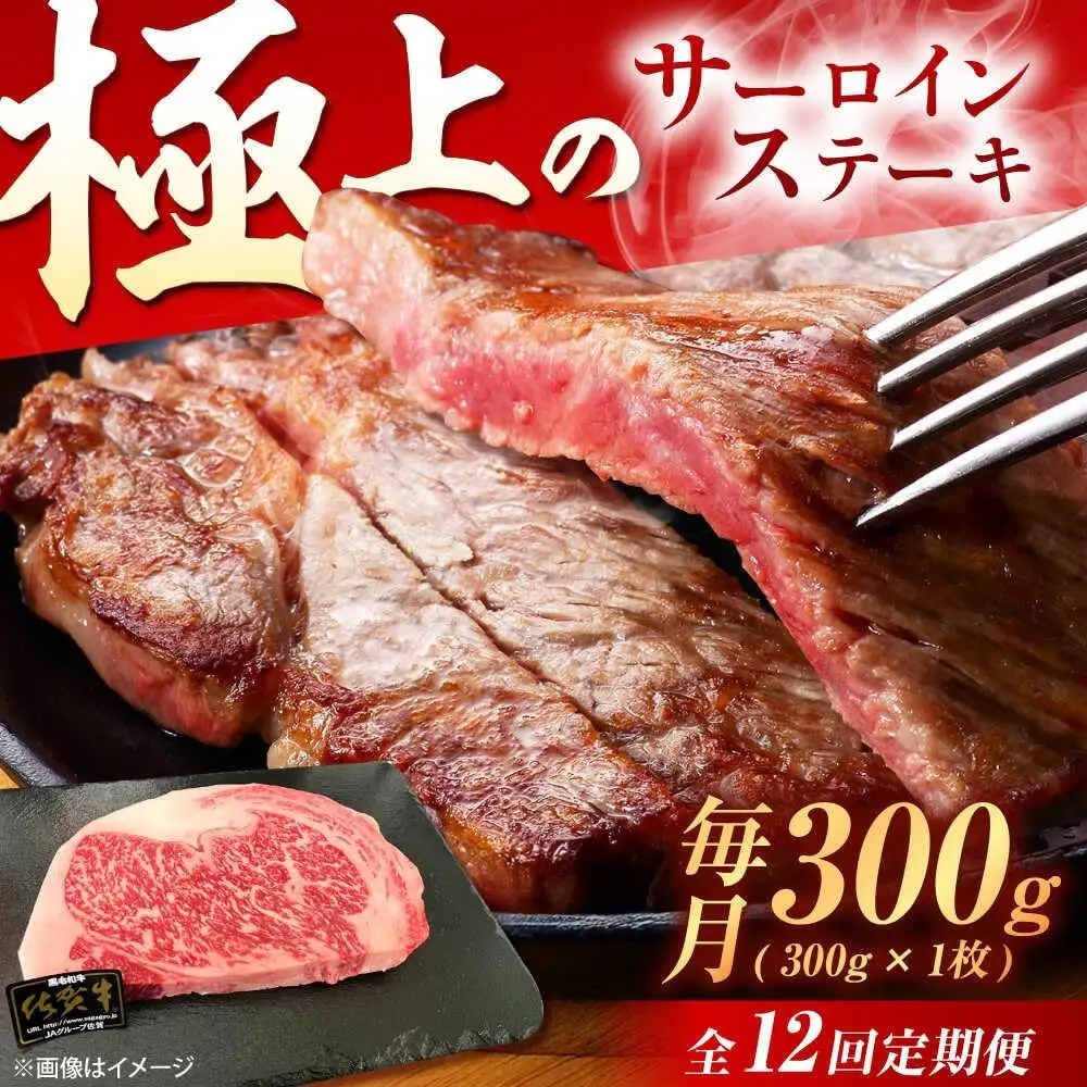 【12回定期便】佐賀牛 サーロインステーキ 300g /MKミート武雄[UEM019] ステーキ定期