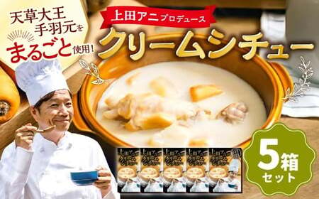 ＜ R8年熊本地震復興支援 ＞上田アニのクリームシチュー5箱セット 250g×5箱 合計1.25kg シチュー クリームシチュー 天草大王 鶏肉 常温 熊本県 上天草市