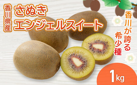 さぬきエンジェルスイート 約1kg 先行予約 キウイ 果物 フルーツ 【goshiki025】