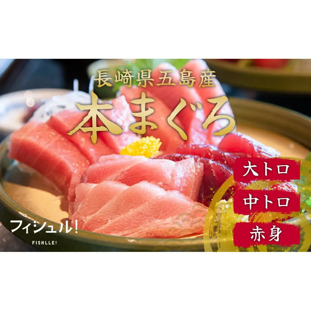 マグロづくし セット フィシュル ! 赤身 5枚 中トロ 3枚 大トロ 2枚 各50g×3P 詰め合わせ 刺身 お刺身 海鮮 魚 魚介 海の幸 おつくり 本マグロ 鮪 海鮮セット 海鮮丼 国産 九州 博多 福岡市