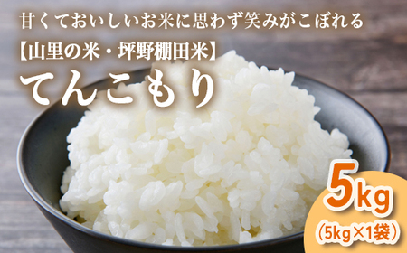 山の湧き水 寒暖差 山里 山里の米･坪野棚田米 R7年産 てんこもり5kg ※北海道・沖縄・離島への配送不可