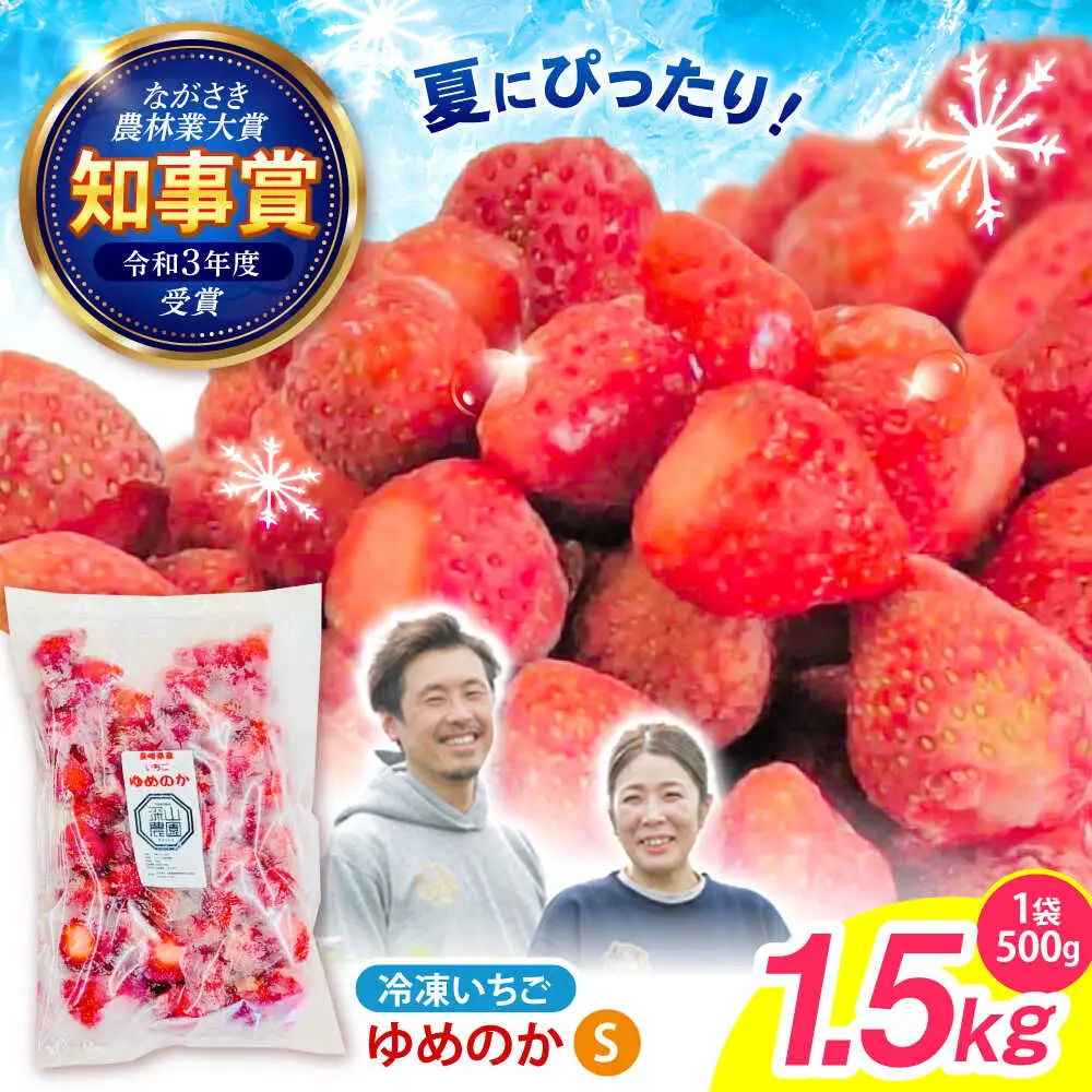 【完熟の恵み、ぎゅっと冷凍！】冷凍いちご「ゆめのか」 Sサイズ 1.5kg(500g×3) / いちご イチゴ 苺 冷凍 冷凍いちご 冷凍フルーツ イチゴジャム / 諫早市 / むらたサービス [AHFA002]