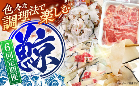 【6回定期便】調理用部位定期便（煮しめ鯨・炙り用脂筋肉スライス・特上ゆかけ鯨（畝））[OBR019]