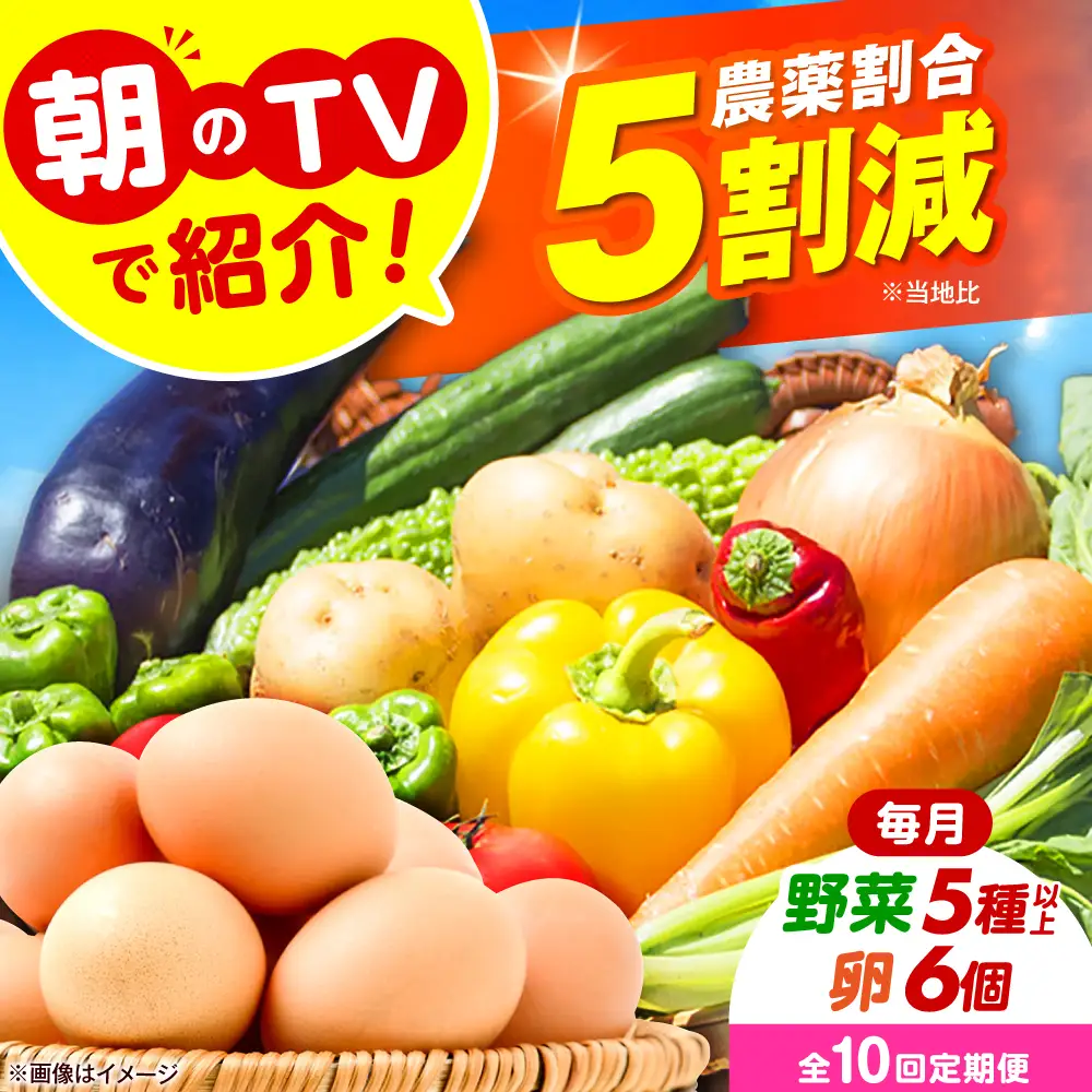 【全10回定期便】 米ぬかで育てた！旬のお野菜＆平飼い卵セット ベジ彩ファーム[AOEJ007] 野菜定期便