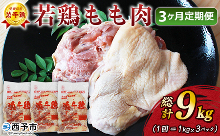 ＜愛媛県産 銘柄鶏 浜千鶏（はまちどり）若鶏もも肉 3kg（1kg×3）3ヶ月定期便＞ 国産 鶏肉 鳥肉 とり チキン モモ肉 はまちどり ブロック 精肉 にく 料理 アレンジ 夕飯 夕食 お弁当 昼食 唐揚げから揚げ 焼き鳥 マルハフーズ株式会社 愛媛県 西予市【冷凍】『1か月以内に順次出荷』OMF0008