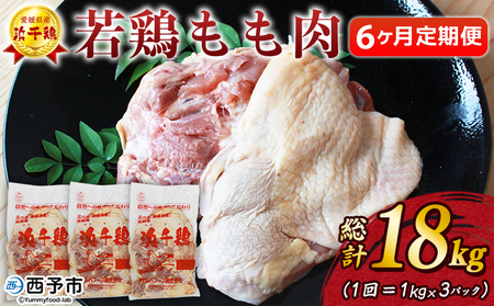 ＜愛媛県産 銘柄鶏 浜千鶏（はまちどり）若鶏もも肉 3kg（1kg×3）6ヶ月定期便＞ 国産 鶏肉 鳥肉 とり チキン モモ肉 はまちどり ブロック 精肉 にく 料理 アレンジ 夕飯 夕食 お弁当 昼食 唐揚げから揚げ 焼き鳥 マルハフーズ株式会社 愛媛県 西予市【冷凍】『1か月以内に順次出荷』OMF0009