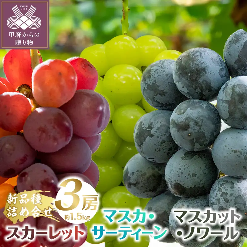 【2026年発送分】植原葡萄研究所の特選房選り詰め合せ