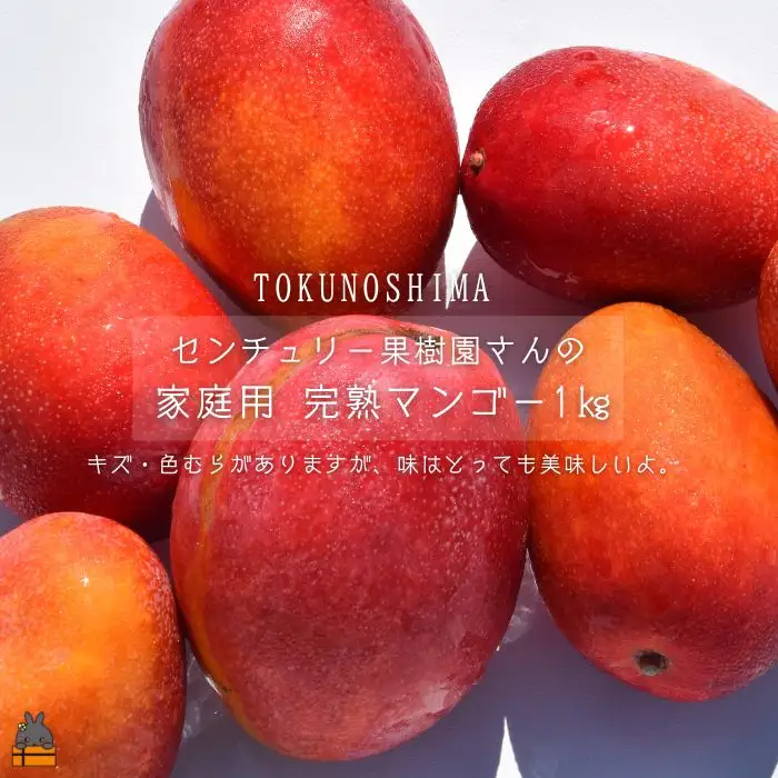 ≪今が旬！≫【家庭用】徳之島センチュリー果樹園さんの完熟マンゴー1kg（2～3玉）( マンゴー フルーツ わけあり 訳あり 訳有 果物 徳之島 )