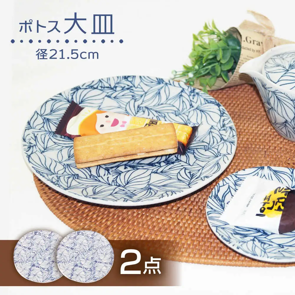 【波佐見焼】大皿 ポトス 2枚セット 食器【大貴セラミックス】[HF16]