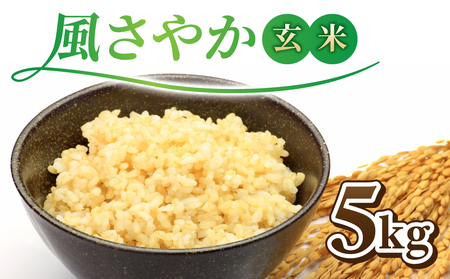 【新米予約】令和8年産 長野県オリジナル品種「風さやか」玄米5kg　※2026年10月上旬以降順次発送