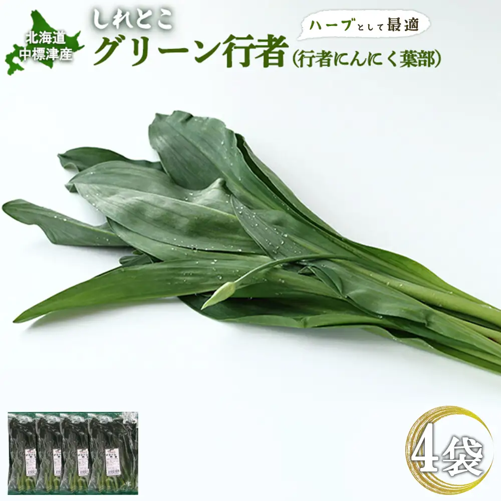 【ハーブとして最適】行者にんにくグリーン行者×4袋 （葉部）【2002001】