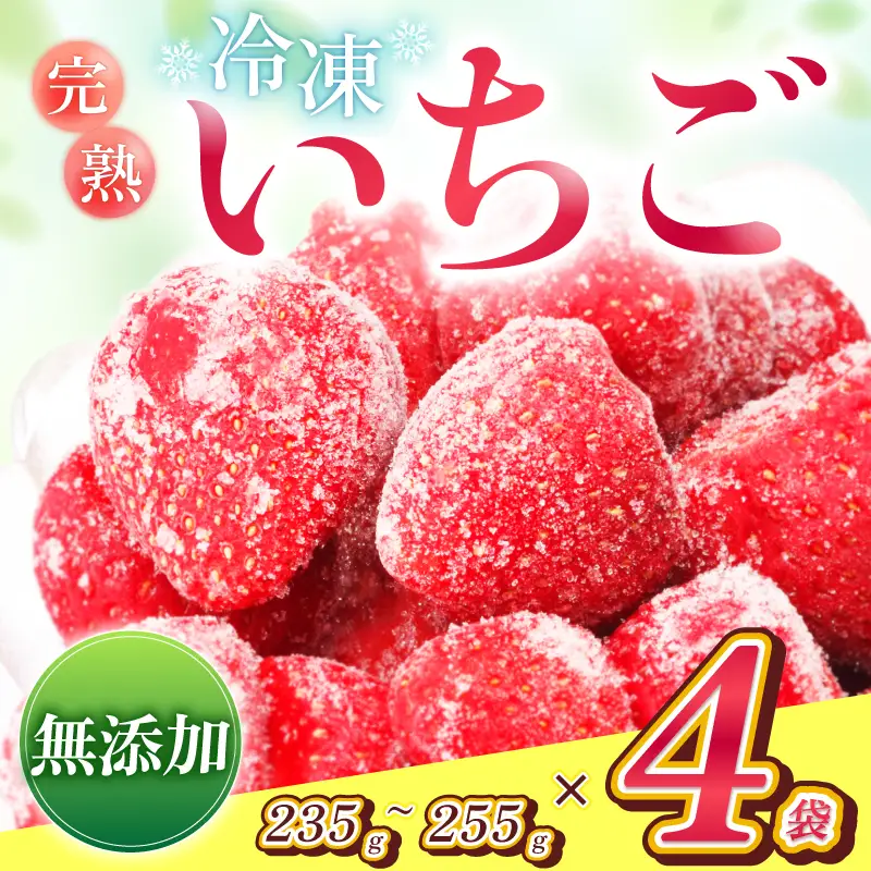 南信州産 冷凍 アルプス イチゴ 235g ～ 255g × 4袋 | 長野県 飯田市