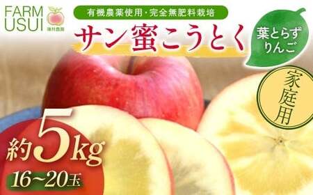 家庭用 有機農薬使用・完全無肥料栽培「サン蜜こうとく」葉とらずりんご約5kg（16～20玉） F7X-0878