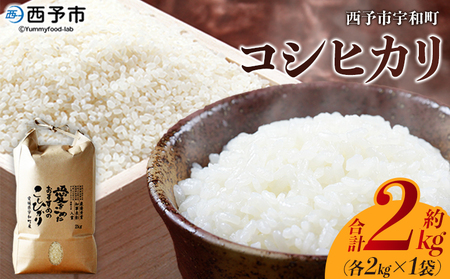 ＜令和7年産 西予市宇和町産 コシヒカリ 約2kg＞ お米 コメ こめ 白米 精米 単一原料米 ご飯 白飯 ごはん 穀物 コシヒカリ こしひかり 朝食 特産品 愛媛県産 西予市産 宇和町産 三好フク【常温】『2025年9月中旬より順次出荷予定』UMH0015