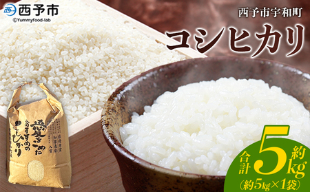 ＜令和7年産 西予市宇和町産 コシヒカリ 約5kg＞ お米 コメ こめ 白米 精米 単一原料米 ご飯 白飯 ごはん 穀物 コシヒカリ こしひかり 朝食 特産品 愛媛県産 西予市産 宇和町産 三好フク【常温】『1か月以内に順次出荷予定』UMH0016
