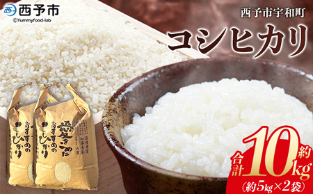 ＜令和7年産 西予市宇和町産 コシヒカリ 約10kg＞ お米 コメ こめ 白米 精米 単一原料米 ご飯 白飯 ごはん 穀物 コシヒカリ こしひかり 朝食 特産品 愛媛県産 西予市産 宇和町産 三好フク【常温】『1か月以内に順次出荷予定』UMH0017