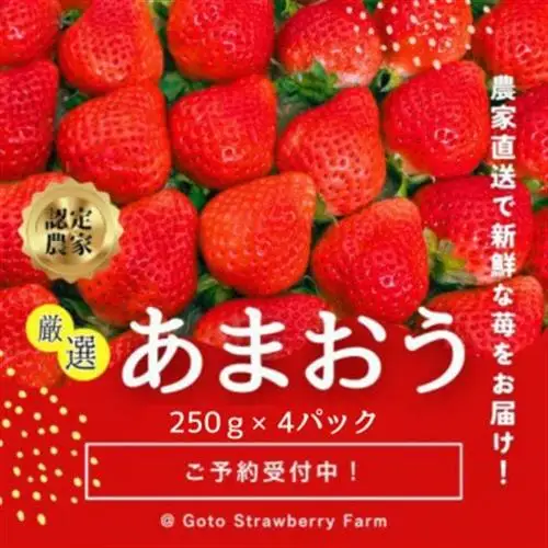 【先行予約】福岡県産あまおう 約250g×4パック《2027年2月以降順次発送》【配送不可地域：離島】【1177858】