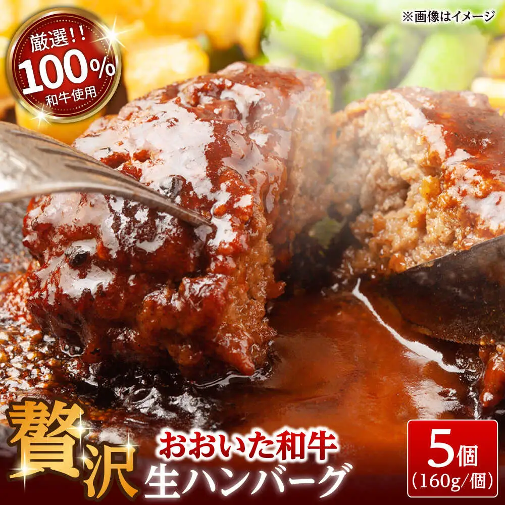 厳選 おおいた和牛100% 生ハンバーグ 160g×5個 日田市 おおいた和牛 牛肉 ハンバーグ [ARFE003]