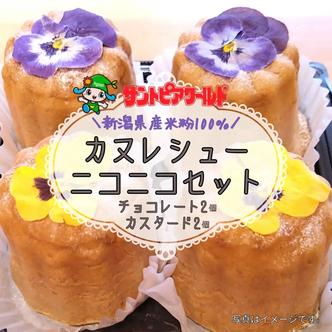 サントピアワールド の カヌレシュー4個セット（カスタード2個・チョコレート2個）遊園地 新潟県産米粉100％使用 カヌレ シュークリーム グルテンフリー  冷凍 スイーツ デザート 新潟県 阿賀野市 2S06007