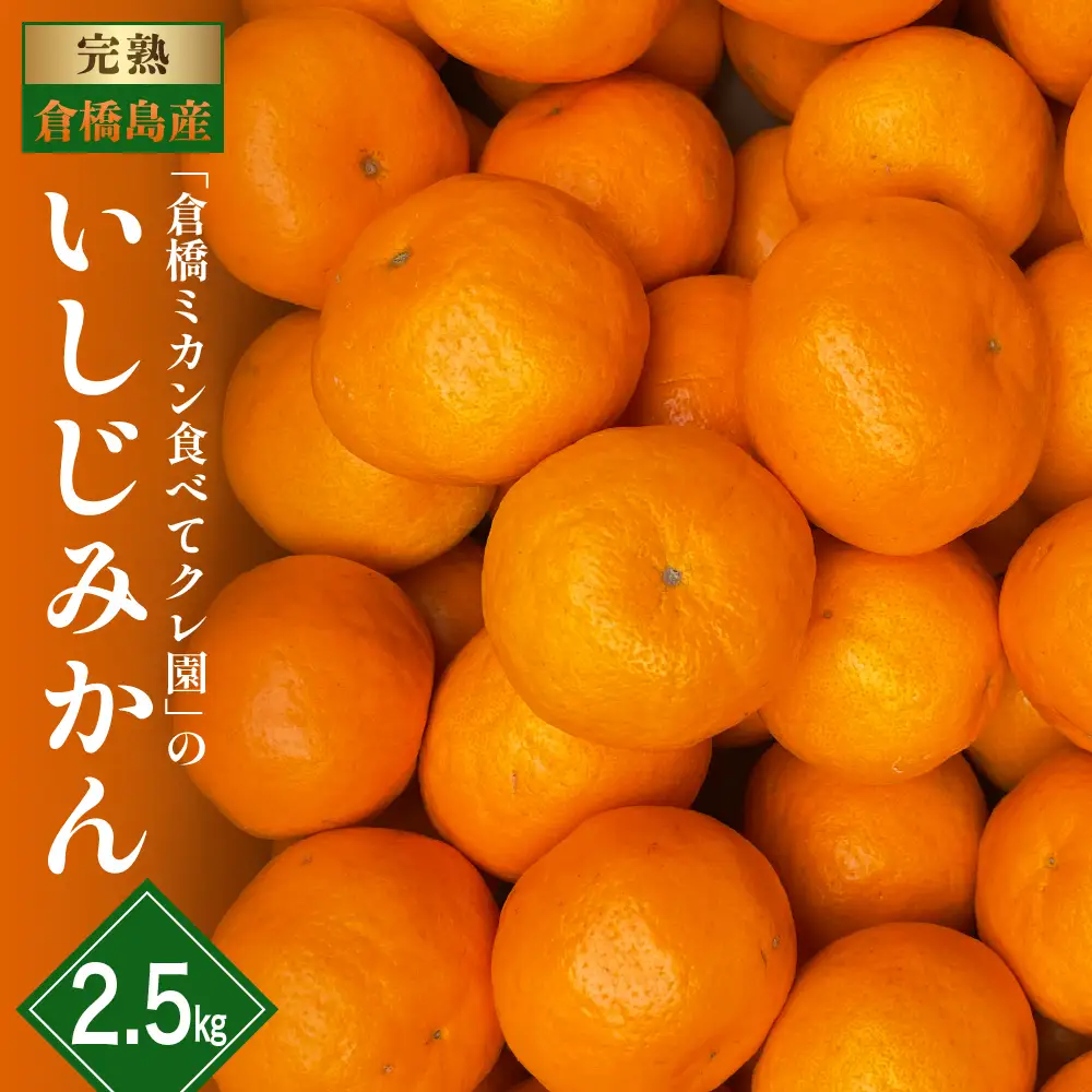 【先行受付】【2026年12月～発送】倉橋ミカン食べてクレ園 いしじみかん 約2.5kg