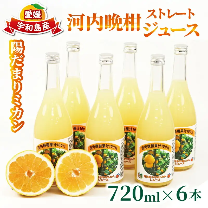 河内晩柑 ストレートジュース 720ml × 6本 陽だまりミカン みかんジュース みかん 蜜柑 mikan フルーツ ジュース 果汁 100% 焼酎割り ソーダ割り 家呑み 飲料 果物 くだもの 国産 愛媛 宇和島 H024-050009