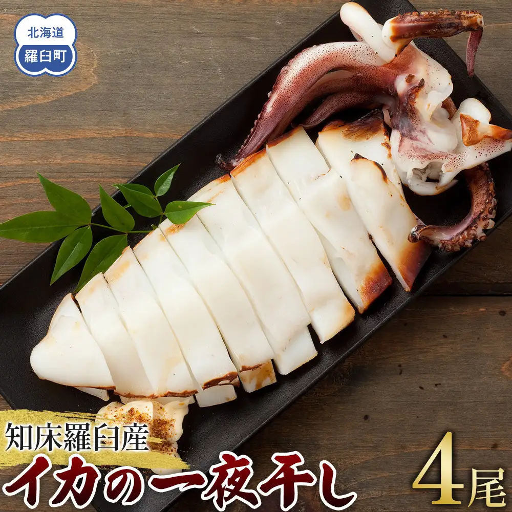 【数量限定】 羅臼産 イカの一夜干し 中サイズ 4尾（200g前後×4パック）｜イカ　北海道