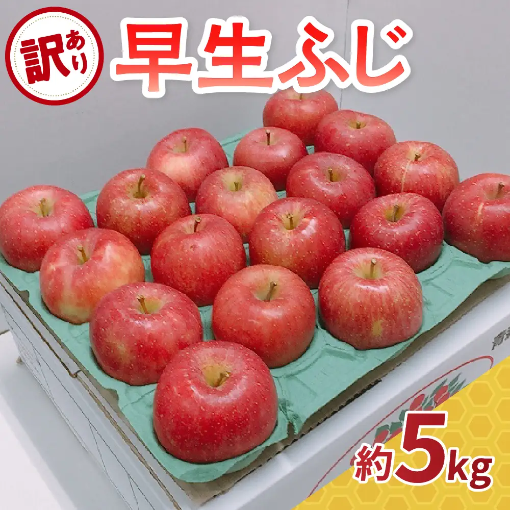 【2026年10月発送】 りんご 約5kg 訳あり 早生ふじ 青森県産 りんご