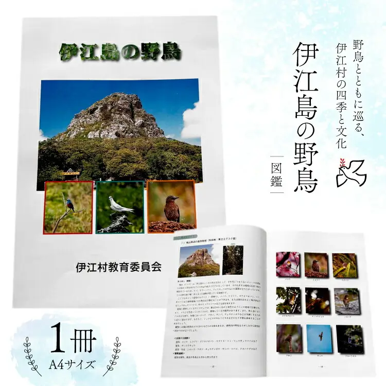 図鑑 伊江島の野鳥 1冊
