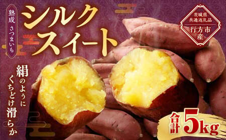 “熟成” 茨城県産 さつまいも 【 シルクスイート 】 約5kg （茨城県共通返礼品・行方市産） 芋 いも サツマイモ 野菜 やさい 国産