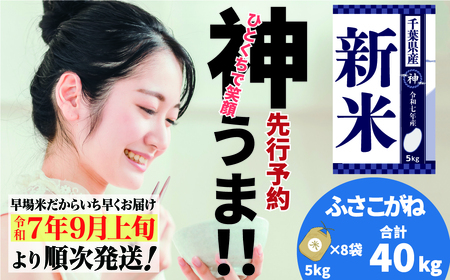 《先行予約・令和7年産米》千葉県神崎町産ふさこがね40kg（5kg×8袋）