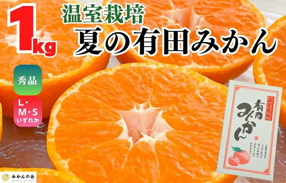 【お中元】ハウスみかん 温室栽培 夏の有田みかん 約1kg 秀品 S・M・Lサイズのいずれか 和歌山県 産地直送 みかんの会 【7月上旬～8月上旬に順次発送】