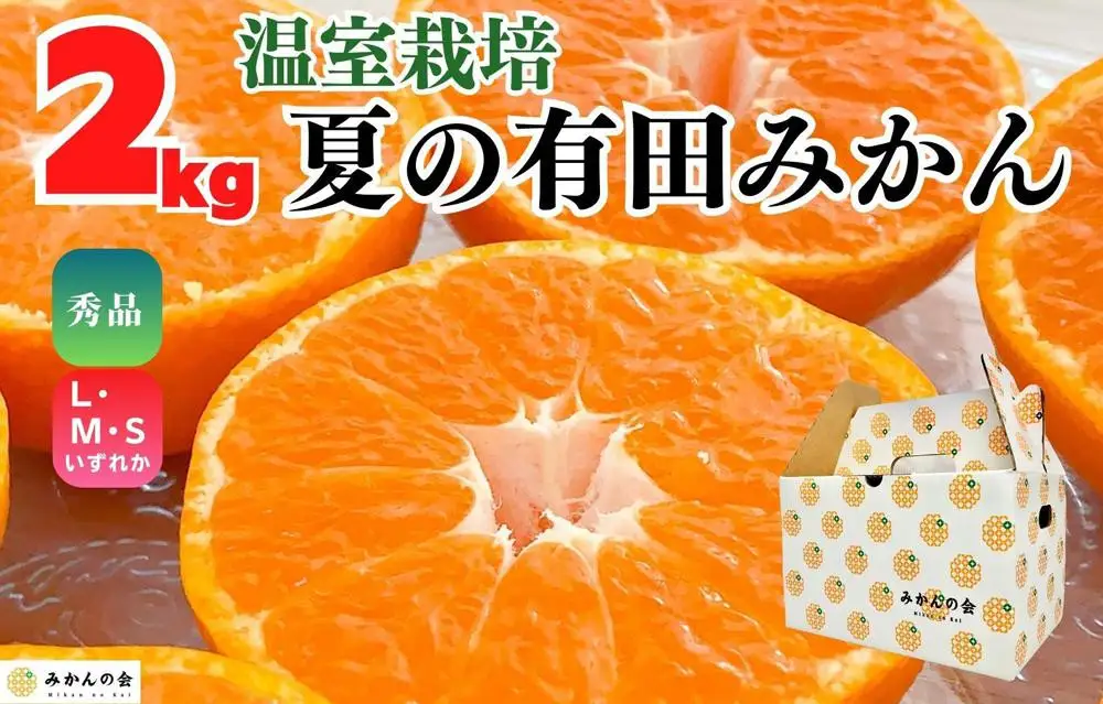 【お中元】ハウスみかん 温室栽培 夏の有田みかん 約2kg 秀品 S・M・Lサイズのいずれか  和歌山県 産地直送 みかんの会 【7月上旬～8月上旬に順次発送】