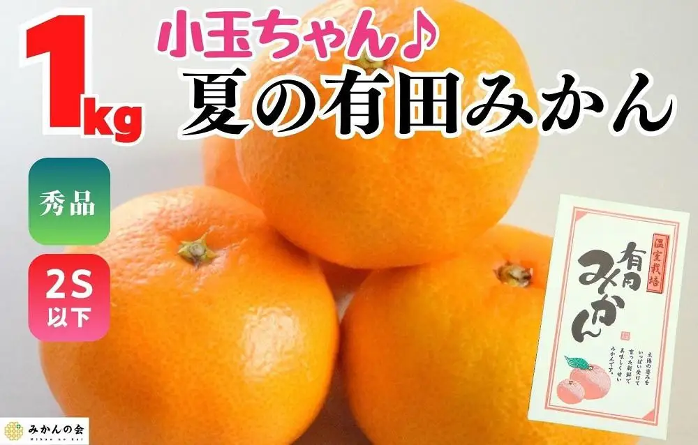 【お中元】小玉ちゃん ハウスみかん 温室栽培 夏の有田みかん 約1kg 秀品 2Sサイズ以下 和歌山県 産地直送 みかんの会 【7月上旬～8月上旬に順次発送】