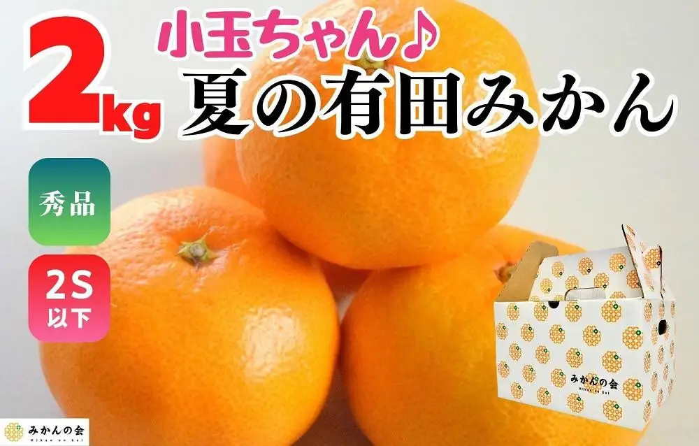 【お中元】小玉ちゃん ハウスみかん 温室栽培 夏の有田みかん約2kg 秀品 2Sサイズ以下 和歌山県 産地直送 みかんの会 【7月上旬～8月上旬に順次発送】